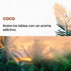 Bálsamo Labial Coco - Nutrición y Delicia Tropical - Imagen 2