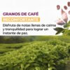 Gel de Ducha Corporal Granos de Café 200ml - Aroma Sofisticado - Imagen 2