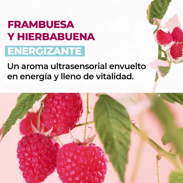 Exfoliante Corporal Frambuesa y Hierbabuena - Exfoliación Suave y Frescura Natural - Imagen 3