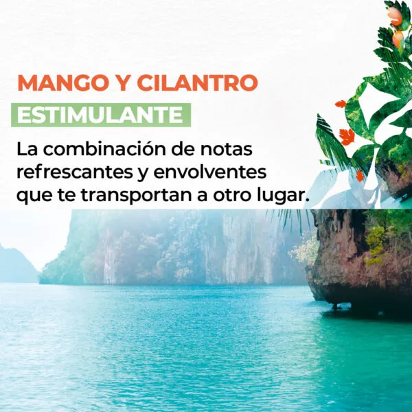 Jabón Líquido para Manos Mango y Cilantro - Limpieza y Vitalidad - Imagen 3