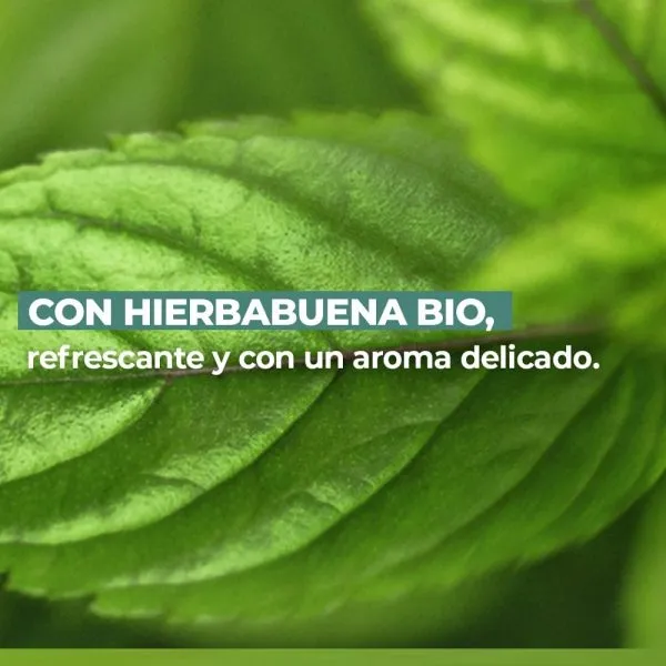 Green Heroes Exfoliante Facial Sólido Yves Rocher 75g - Renueva y Purifica tu Piel - Imagen 2