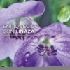 Yves Rocher Acondicionador Definidor de Rizos 200ml - Rizos Perfectamente Definidos - Imagen 2